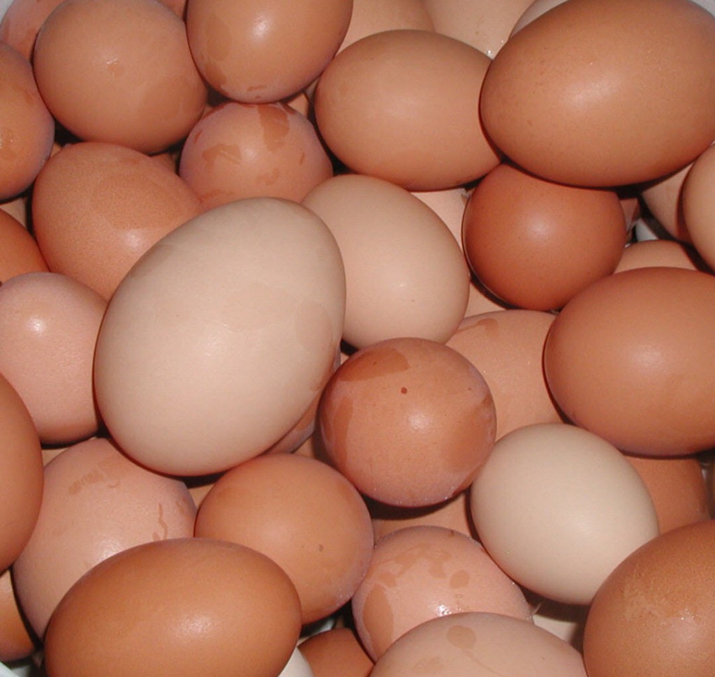 Egg Recall Egg Recall Brands, States Affected Long Island Press