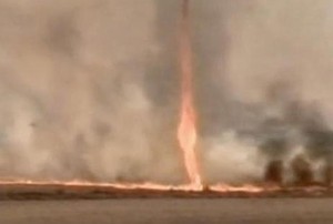 In August 2010 a number of fire tornados were spotted in Hawaii and Brazil (Photo courtesy AP)