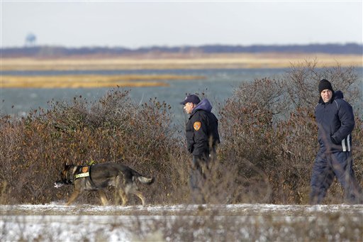 Authorities search in the brush by the side of the road at Cedar Beach, near Babylon, N.Y., Tuesday, Dec. 14, 2010. Police looking for a missing prostitute on Long Island's Fire Island have discovered three bodies and a set of skeletal remains near Oak Beach since Saturday. Investigators are considering the possibility that a serial killer may have dumped four bodies along the same quarter-mile stretch of beachside road, a police chief said Tuesday. (AP Photo/Seth Wenig)