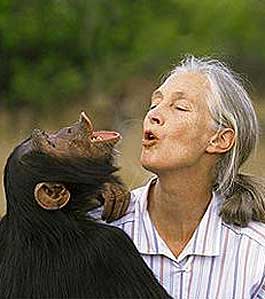 Jane Goodall returns to the Gombe Forest on 60 Minutes.