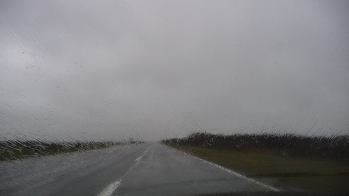 Four Bodies Found off Ocean Parkway in Oak, Gilgo Beaches