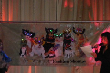 Pre-Westminster Dog Fashion Show